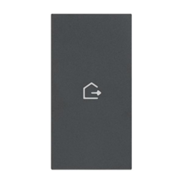 Lightable cover, 2 modules - GOING OUT symbol. For devices item K4672M2L and item K4652M2. Black.