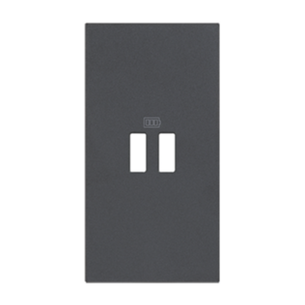 Covers for 2-module USB chargers. For items K4285C2, K4286C2, K4287C2
