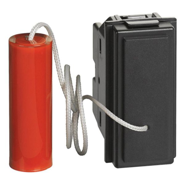 10 A 250 Vac pull-cord pushbutton 1 P (NO) and 1 P (NC)