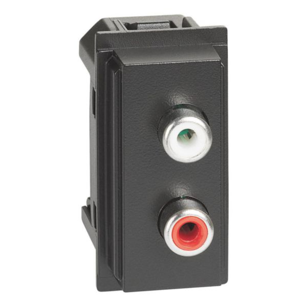 Double RCA module