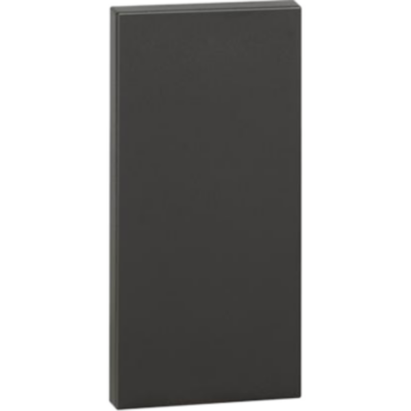Aesthetic Cover for blanking modules item K4950 - 1 module. Black.