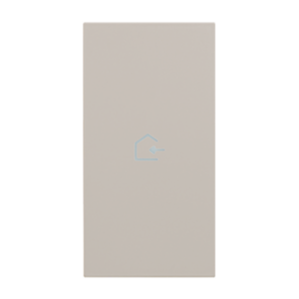 Lightable cover, 2 modules - COMING IN symbol. For devices item K4672M2L and item K4652M2. Sand.