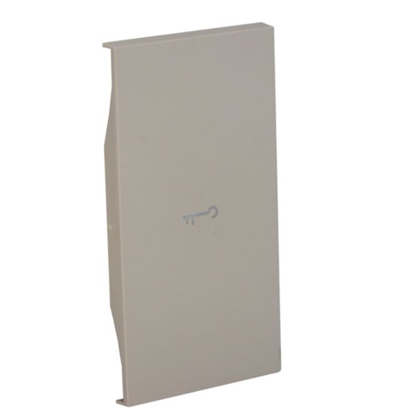Lightable cover, 2 modules - KEY symbol. For devices item K4672M2L and item K4652M2. Sand