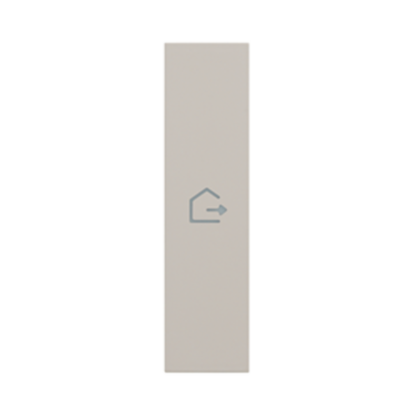 Lightable cover, 1 module - GOING OUT symbol. For devices item K4672M2L, K4652M2 and K4652M3. Sand.