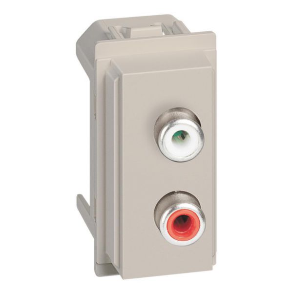 Double RCA module