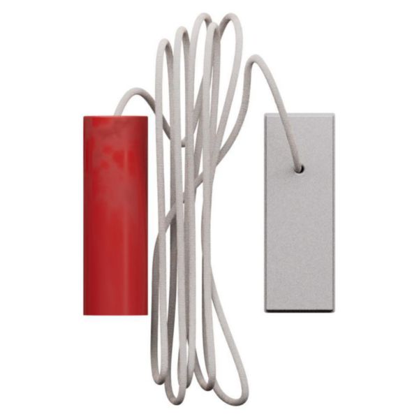 15 A 250 VA pull-cord pushbutton 1 P (NO) and 1 P (NC)