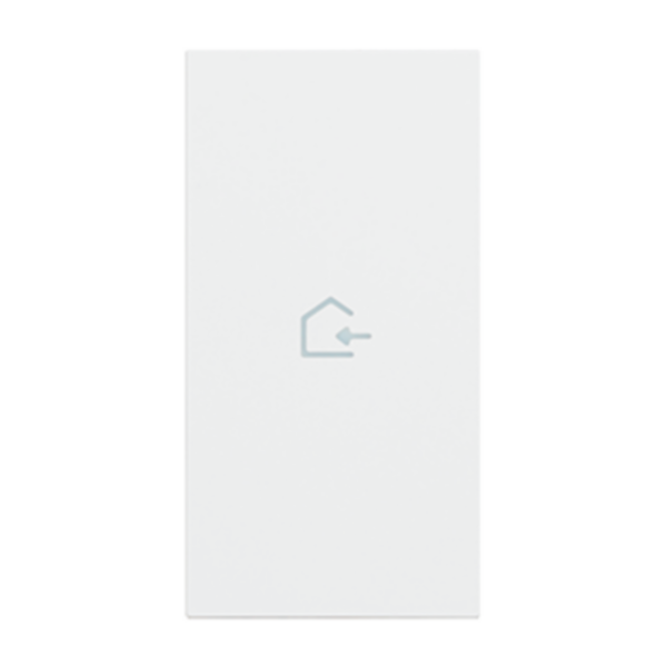 Lightable cover, 2 modules - COMING IN symbol. For devices item K4672M2L and item K4652M2. White.