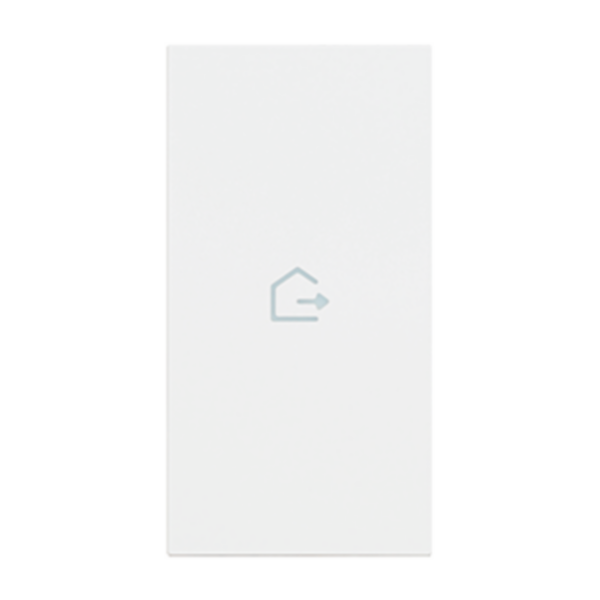 Lightable cover, 2 modules - GOING OUT symbol. For devices item K4672M2L and item K4652M2. White