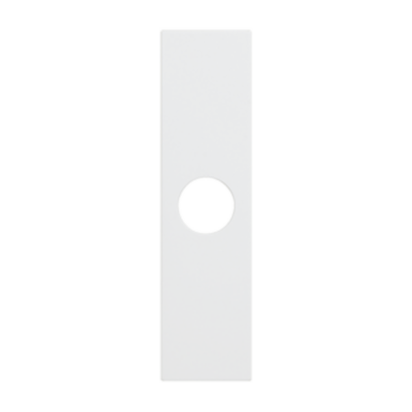 Covers for TV sockets and blanking module with output