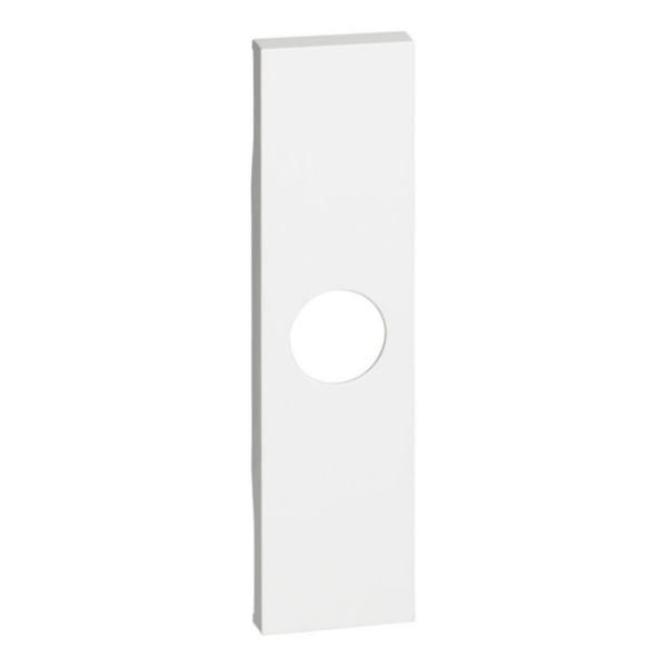 Covers for TV sockets and blanking module with output