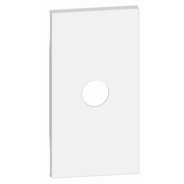 Covers for TV sockets and blanking module with output