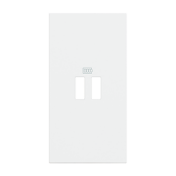 Covers for 2-module USB chargers. For items K4285C2, K4286C2, K4287C4