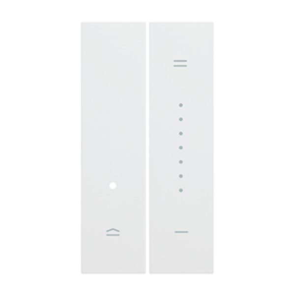 Dimmer Covers consisting of two 1-module pieces. For items K4410, K4411