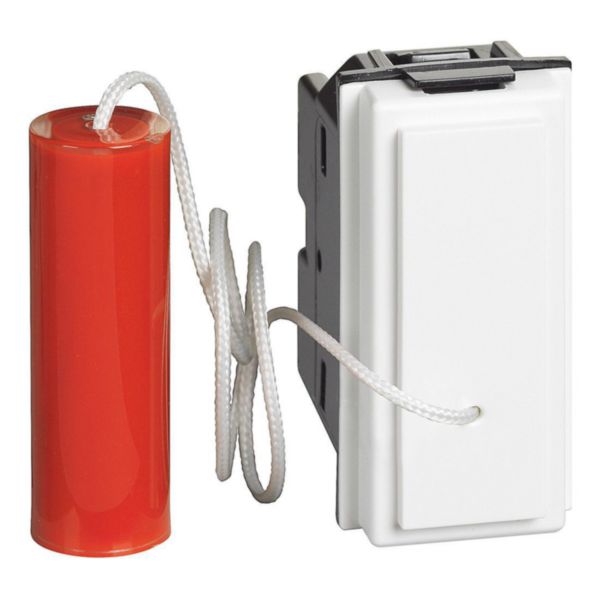 10 A 250 Vac pull-cord pushbutton 1 P (NO) and 1 P (NC)
