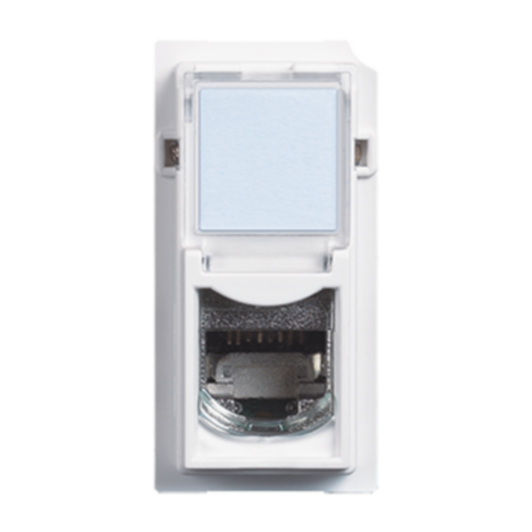 RJ45 connectors 6 UTP category, Tolless IDC