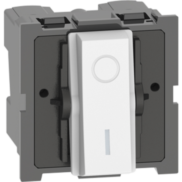 Indian standard two-pole switches, 2P 32 A, 250 VA switch