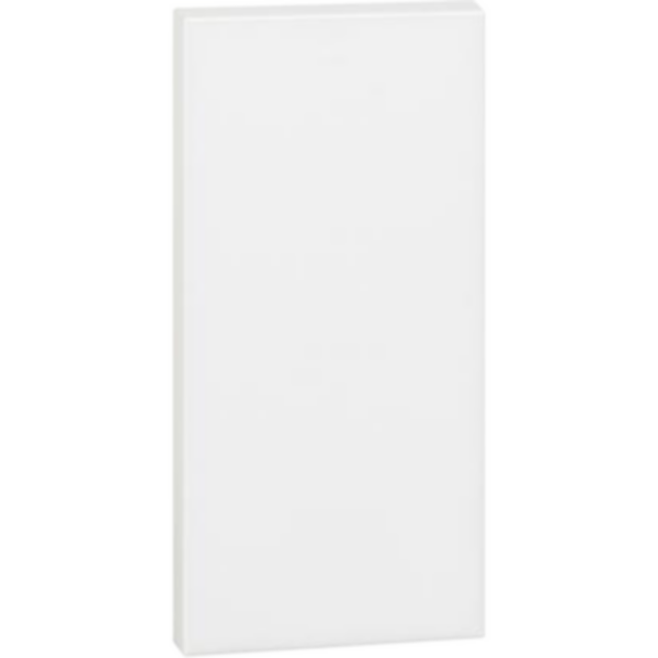 Aesthetic Cover for blanking modules item K4950 - 1 module. White.