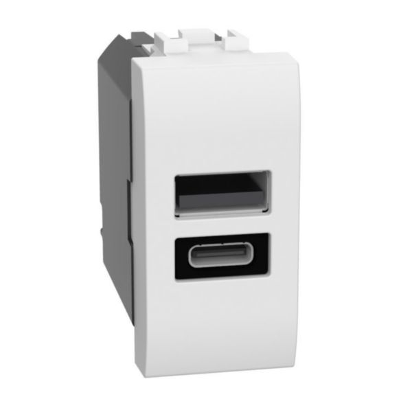 USB charger with 2 type A and C ports - 20W