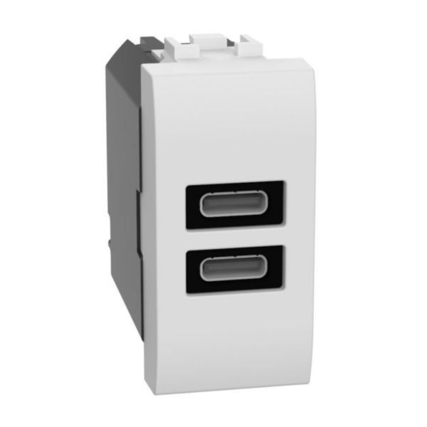 USB charger with 2 type C ports - 20W