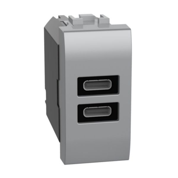 USB charger with 2 type C ports - 20W