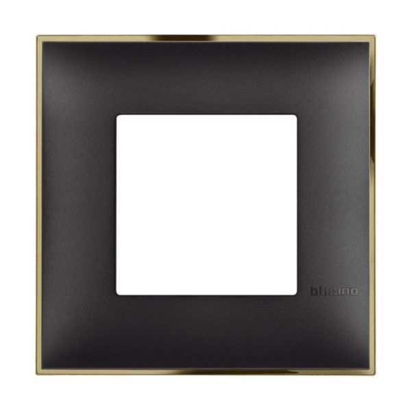 Cover plate - 2 modules