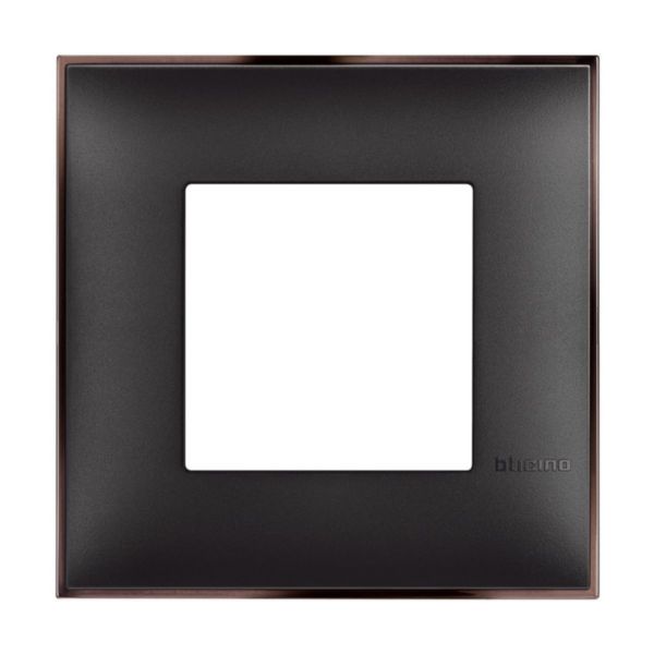 Cover plate - 2 modules