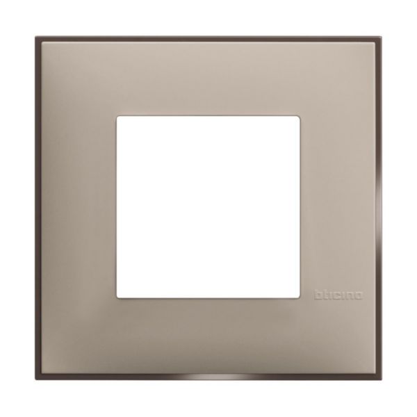 Cover plate - 2 modules