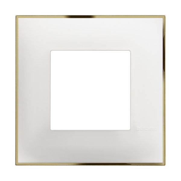 Cover plate - 2 modules