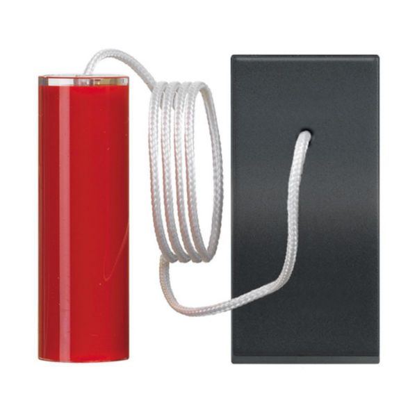 Pull - cord pushbutton1 P (NO) 10 A - 250 Vac