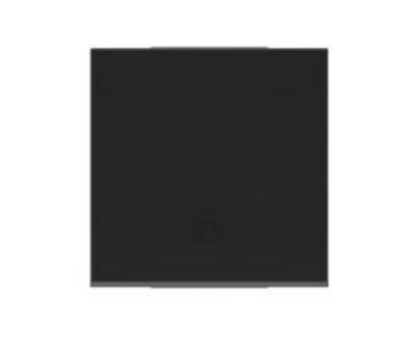 Pushbutton 1P (NO) 10 A - 250 Vac