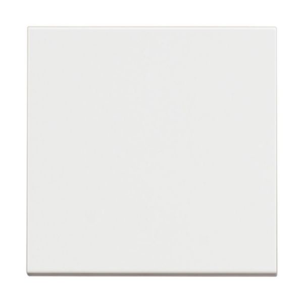 One-way switch 1P 10 AX - 250 Vac