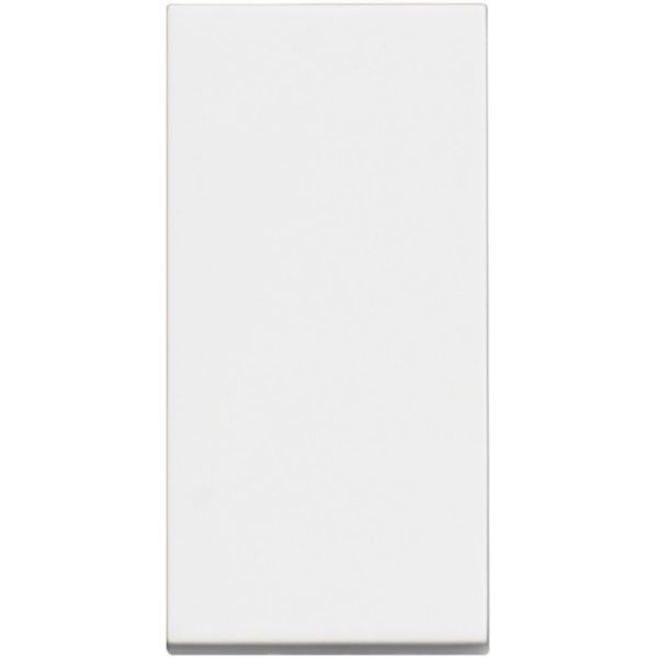 One-way switch 1P 10AX - 250 Vac (item sold in box packaging)