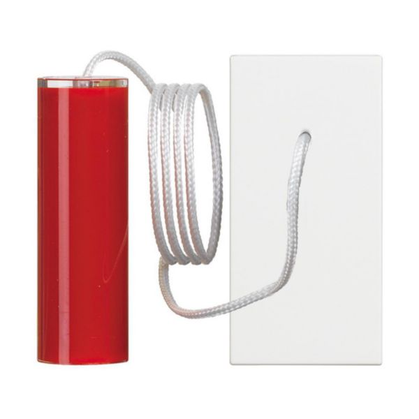 Pull - cord pushbutton1 P (NO) 10 A - 250 Vac