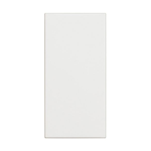 Blank plate - 1 module