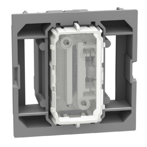 4-way switch 1P 10AX 2 modules, neutral, rocker, lightable, screw & plate terminals