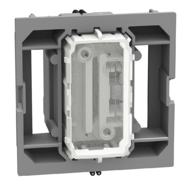 4-way switch 1P 10AX 2 modules, neutral, rocker, lightable, screw & plate terminals