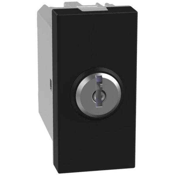 2-way switch 10 AX - 250 V with key - 1 module - dark