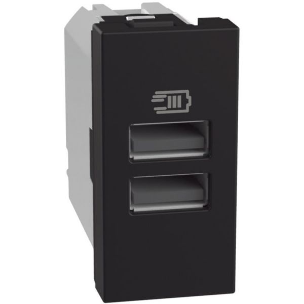 Double USB sockets - 2 x Type-A 15 W - 1 module - dark