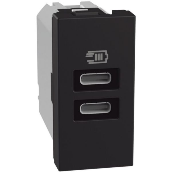 USB charger with 2 type C ports - 20W