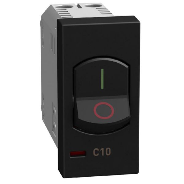 Thermal magnetic circuit breaker - 10A 230 Vac - dark