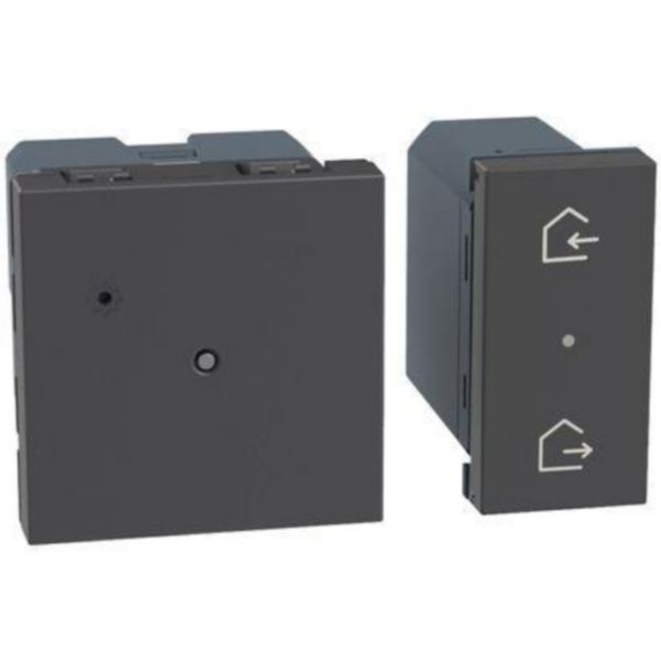 Gateway with flushmounted Home/Away wireless master switch 1 module. Power supply 100-240 Vac - 2 modules - dark