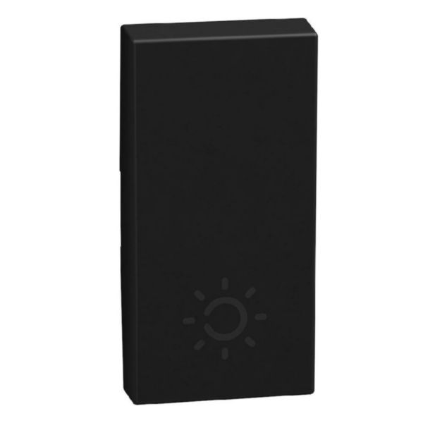 lightable key cover with lamp symbol, 1 module dark, rocker