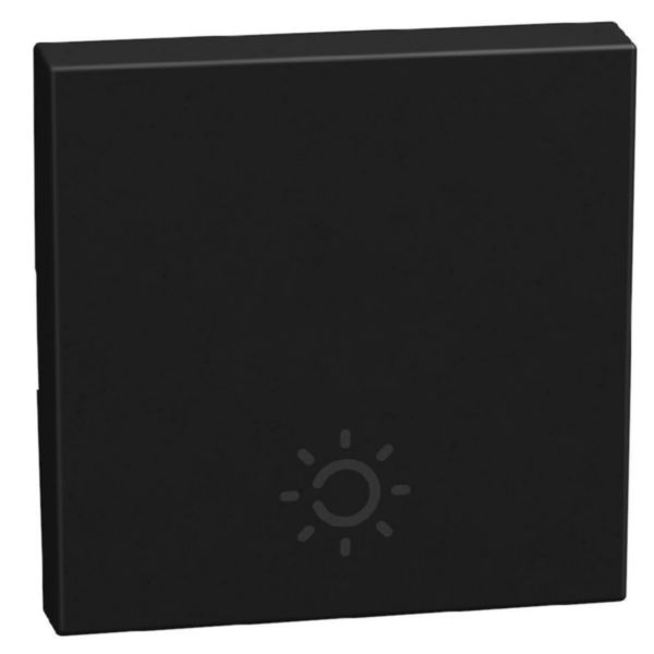 lightable key cover with lamp symbol, 2 modules dark, rocker