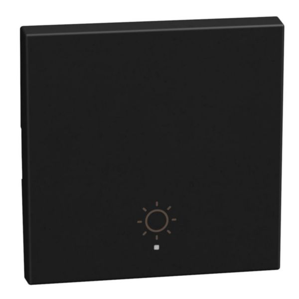 1 function silk-screen printed Key cover with symbol Staircase Light - 2 modules - dark
