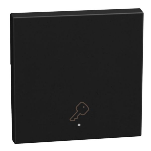 1 function silk-screen printed Key cover with symbol Key - 2 modules - dark