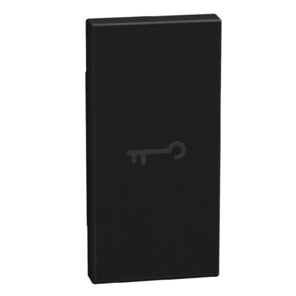 lightable key cover with key symbol, 1 module dark, axial