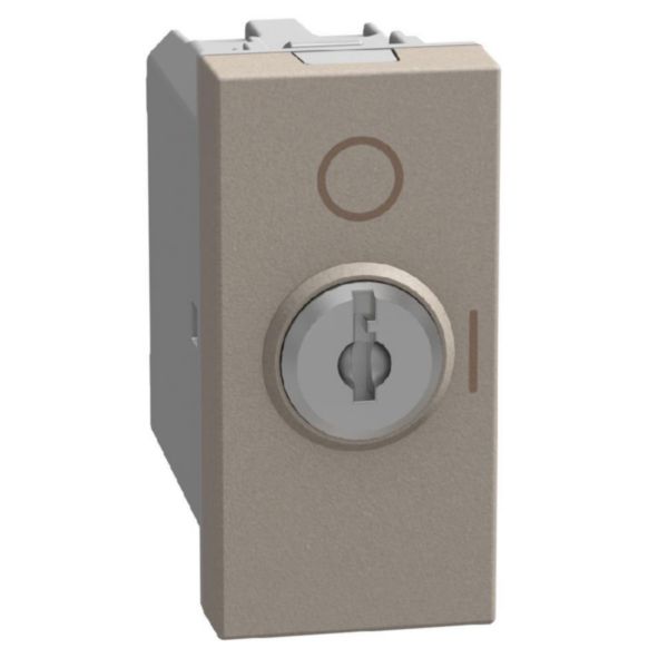 2-way switch 10 AX - 250 V with key - 1 module - stone