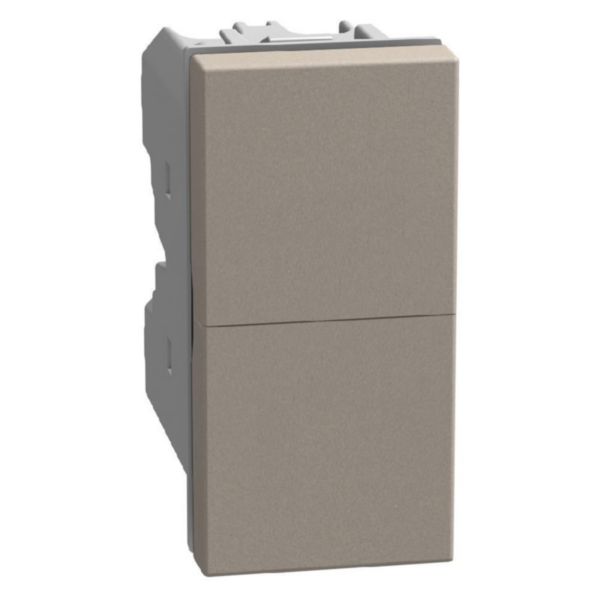 Double pushbutton 1P NO + 1P NO 10 A 250 V - not lightable - 1 module - stone