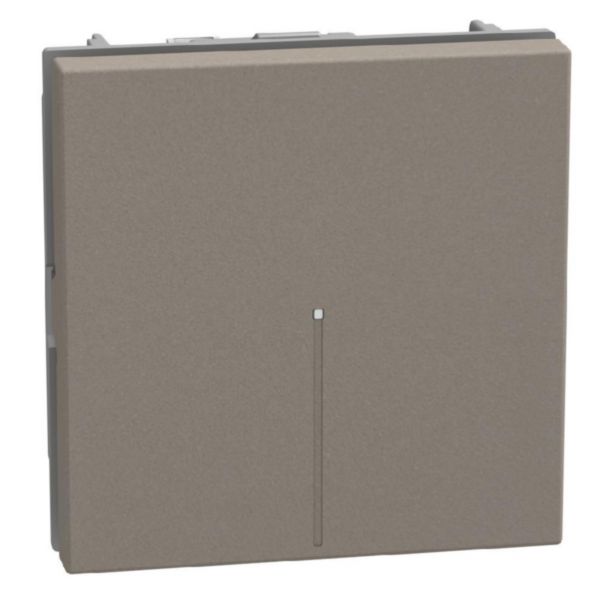 2- way switch 1P 10AX 2 modules stone, axial, lightable, automatic terminals