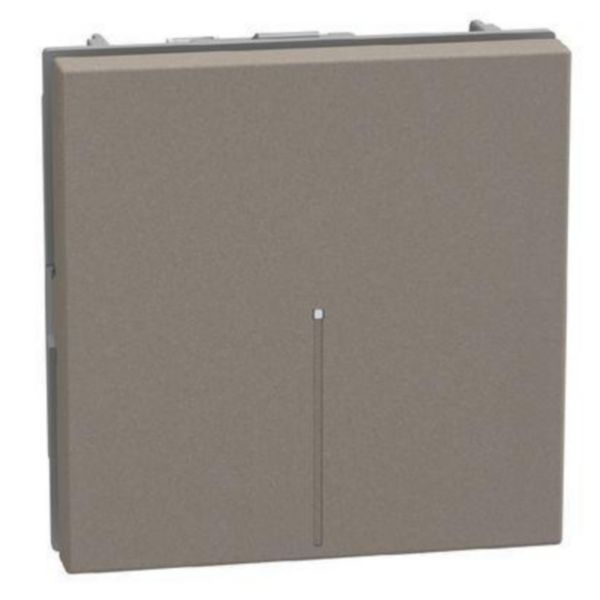 4-way switch 1P 10AX 2 modules stone, axial, lightable, screw & plate terminals